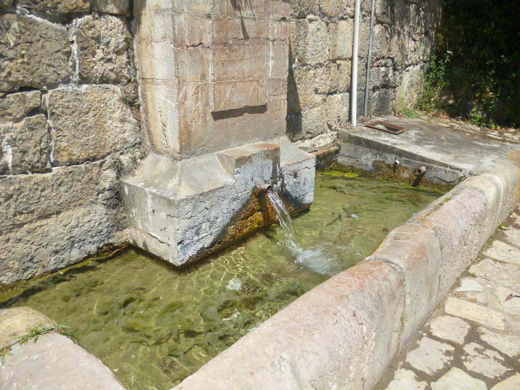 Jardines De Lallosa * Las Rozas