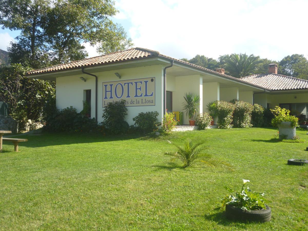 Jardines De Lallosa Hotel Las Rozas